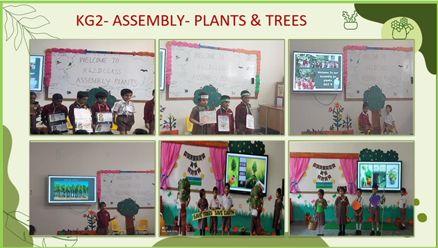KG2-ASSEMBLY-PLANTS & TREES